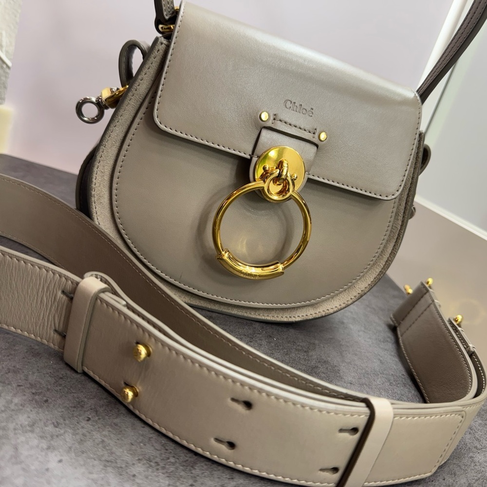 Chloe Gray Crossbody Bag with Gold Ring - Picture 8 of 9